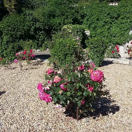 Domaine De Bailheron 4* בזייה