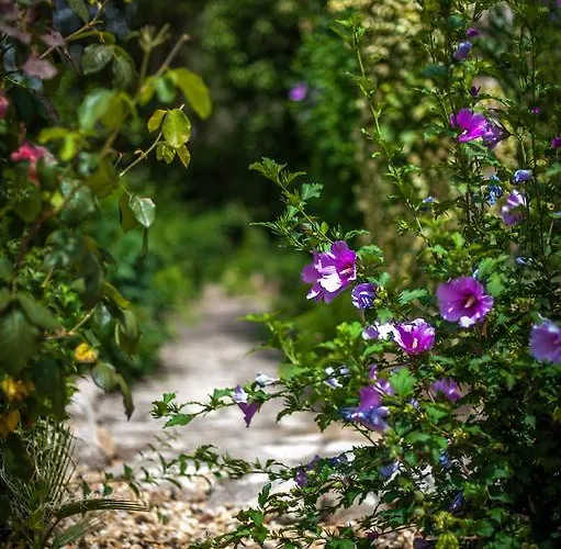 Domaine De Bailheron Casa de hóspedes 4*